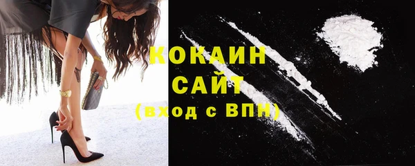ГАЛЛЮЦИНОГЕННЫЕ ГРИБЫ Горняк