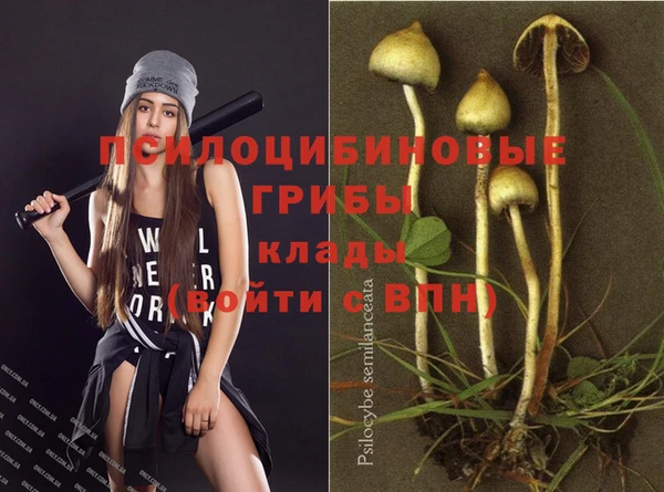 меф Горно-Алтайск