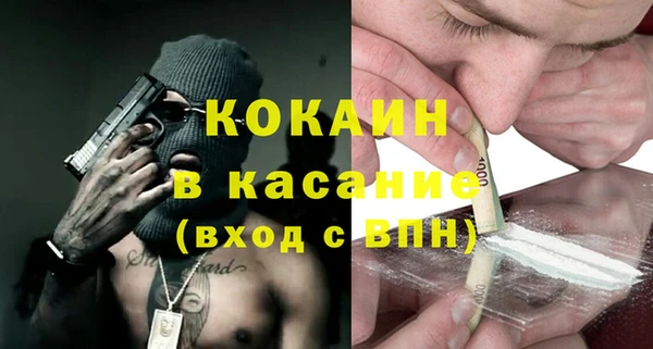 ГАЛЛЮЦИНОГЕННЫЕ ГРИБЫ Горняк